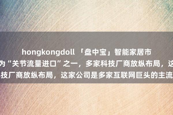 hongkongdoll 「盘中宝」智能家居市集正马上延迟，这类硬件为“关节流量进口”之一，多家科技厂商放纵布局，这家公司是多家互联网巨头的主流供应商