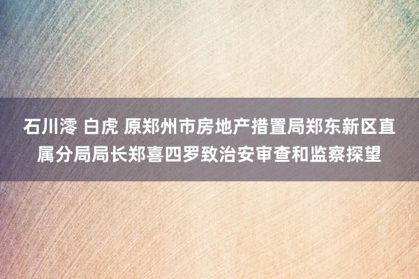 石川澪 白虎 原郑州市房地产措置局郑东新区直属分局局长郑喜四罗致治安审查和监察探望