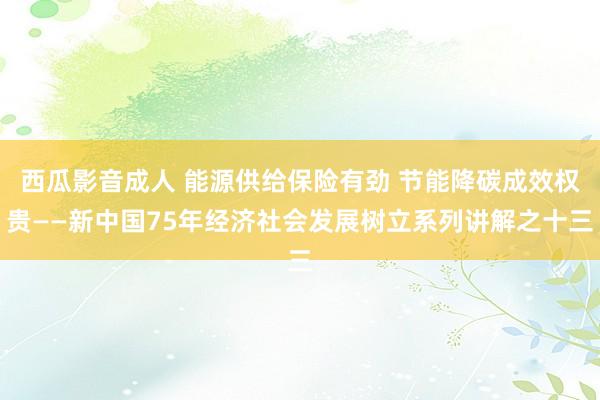 西瓜影音成人 能源供给保险有劲 节能降碳成效权贵——新中国75年经济社会发展树立系列讲解之十三