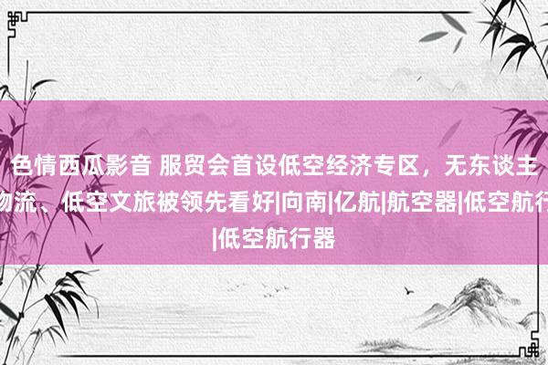 色情西瓜影音 服贸会首设低空经济专区，无东谈主机物流、低空文旅被领先看好|向南|亿航|航空器|低空航行器