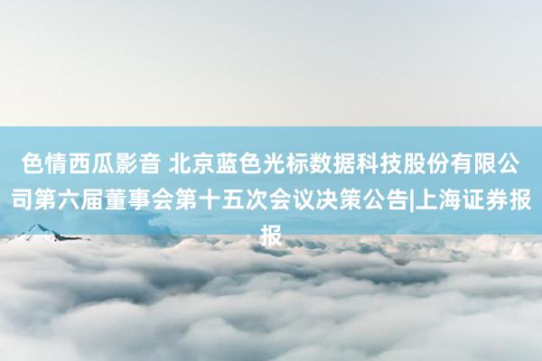 色情西瓜影音 北京蓝色光标数据科技股份有限公司第六届董事会第十五次会议决策公告|上海证券报